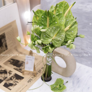 Hoa Cưới Hồng Môn Xanh Lá mix Helleborus H664
